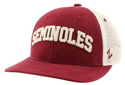 ZHATS NCAA Offiziell lizenzierte Mütze Snapback Harvest Curvature