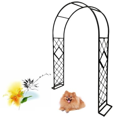 Arche de Jardin en métal Arceau rosiers Support Plantes Grimpantes, Pergola de Jardin Romantique en Fer Forgé, Assemblage Facile (Couleur : Noir, Taille : W260xH230cm)