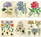 Meishe Art Poster Jahrgang Plakate Drucken Plakatdruck Kunstdrucke Blühende Blumen Botanische Florale Pflanze Illustration Hydrangea Tulpe Haus Wand Dekor 6pcs