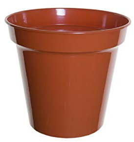 ACCURATE Garden Pot - Terracotta (20 CM)