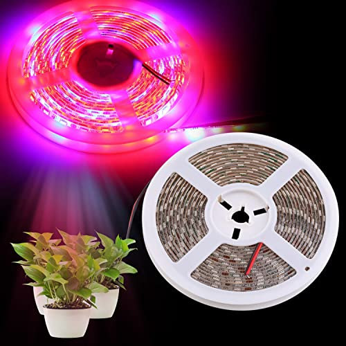 Bandes lumineuses LED pour culture de plantes, barre de lampes de culture solaire à spectre complet, adhésif étanche 12 V 16,4 m pour plantes d'intérieur, semis, plantes grasses, hydroponique