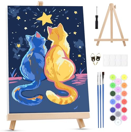 MXJSUA Peinture Numero Enfant Adulte avec Cadre, Ciel Étoilé Chat Numéro d'art avec Pinceaux, Loisirs Créatifs Adultes, Activité Manuelle Adulte, 20x30cm