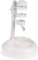 HANABASS Automatic Pet Water Fountain Dispenser for Dogs and Cats White Wall Mounted Drinking Station Non Slip Base Height Cat Dog Drinking