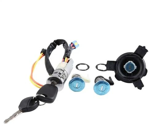 Barillet de contacteur d'allumage, Cylindre de Serrure de Porte Avant Gauche avec clés, Compatible avec Peugeot 206 (1998-2012) et 207 (2006-2014).