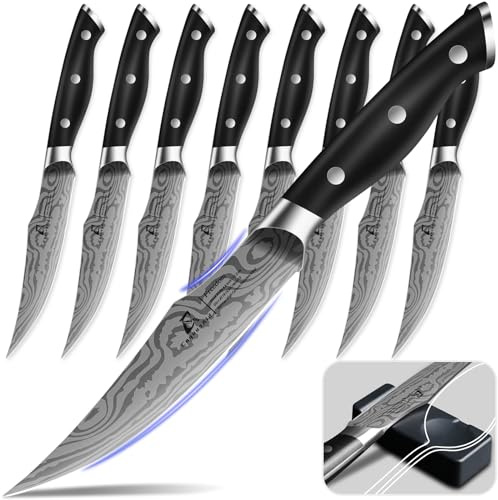 CoquusAid Steak Knives Set of 8, Straight Edge Meat knives with Rest