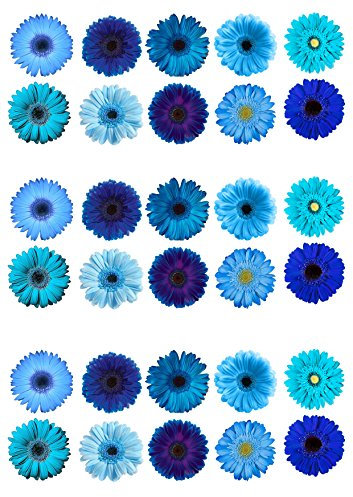 30 Gorgeous Mixed Blue Gerbera Flower Edible Wafer Paper Cake Toppers Decorations
