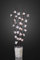 hellum 300055 schwarzer LED-Dekozweig mit rosa Blüten (ohne Vase) für innen, 120 cm, 25 LEDs warm-weiß mit Transformator