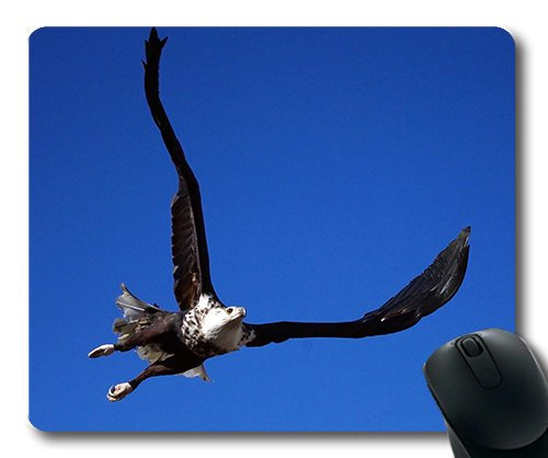 YENDOSTEEN Genau DAS Mousepad, Geier am rande der Raptor Raptor Gaming - Maus Tiere der Mac - oder der Computer Mouse pad.