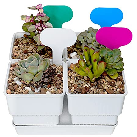 Vaso per piante grasse con vassoio, 4 pezzi, con funzione di controllo della radice, 7 cm, vaso da fiori bianco, ideale per casa, giardino, ufficio, interno ed esterno (solo set di vaso, senza piante)