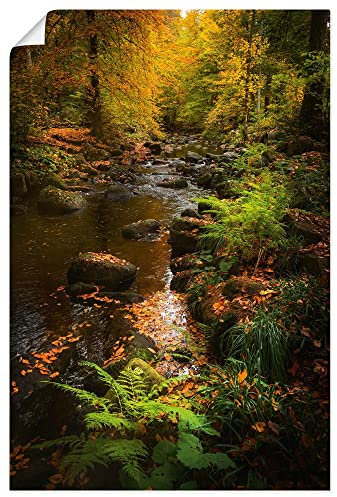 ARTLAND Wanddeko Poster & Kunstdrucke Wandposter 60x90 cm Hochformat Natur Wald Bäume Farn Moos Bach Herbst Harz U4PH