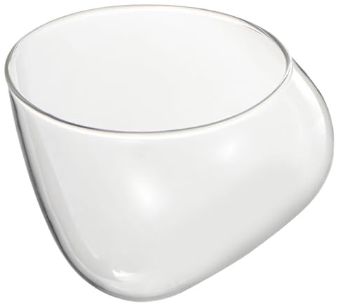 GALPADA Schräg Geschnittenes Glas Terrarium Ökologische Glasflasche für Pflanzen und Blumen im Schlafzimmer Leicht zu Reinigen und Wiederverwendbar im Natürlichen Stil