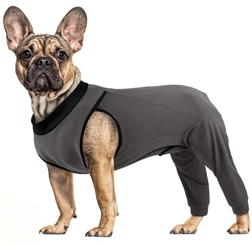 PUMYPOREITY Hundebody mit Beinen, Hundebody Hinterbeine Hunde Op Body Rüde Bandage Hinterbeine Hundeschenkel Schutz Langatmig Body(Grau, M)