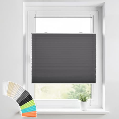 HOMEDEMO Plissee Klemmfix ohne Bohren Jalousien, Anthrazit 50x90cm (BxH), Plisseerollo mit Klemmträger, lichtdurchlässig Faltrollo Sicht-und Sonnenschutz Blickdicht Jalousie für Fenster & Tür