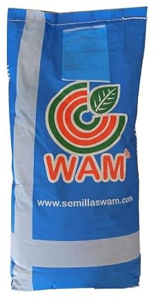Semillas Forrajeras Ray Grass Italiano TURTETRA Semillas Hierba Premium para Prados, Praderas, Pastos para Animales - Saco 5 kg