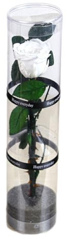 Guangcailun Rose Singole stabilizzate Reali stabilizzate Bellezza e Senza rivali Senza Manutenzione per Sempre Elegante Miscela di Rose eterne, Bianco