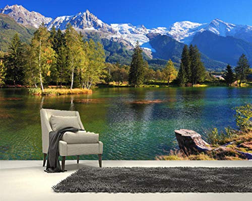 ZLLHAPPY Papier Peint Adhésif Paysage De Lac De Forêt: Trompe L Oeil | Déco Mural Tableaux Muraux Photo Mural Rustique Vintage Chambre Corridor Wallpaper-200x140cm