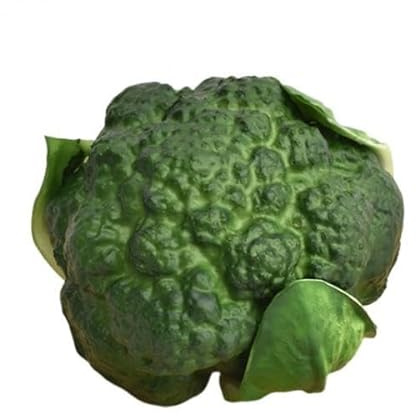 Artificial Broccoli Vegetable Fake Decorative Model Natural Texture PU Suitable for Teaching Shop Kitchen Wedding, Green Broccoli