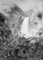 Komar Dino Vlies Fototapete - Jurassic Waterfall - Größe: 200 x 280 cm (Breite x Höhe) - Dino, Dinosaurier, Urwald, Kinderzimmer, Tapete - IAX4-0020