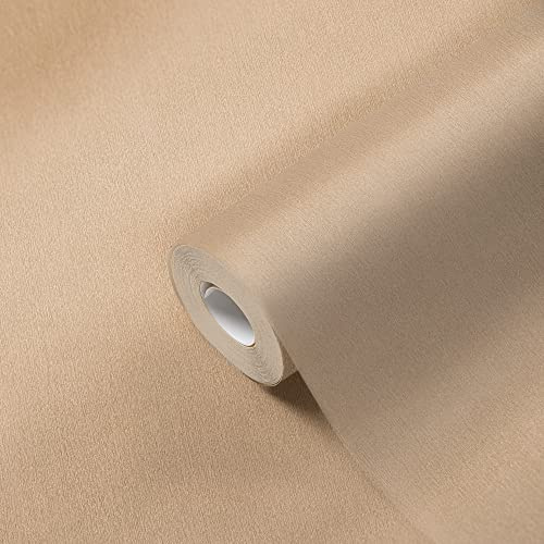A.S. Création Tapete Beige 383686 Vliestapete Uni Einfarbig Modern für Wohnzimmer Matt Glatt 10,05x0,53m Made in Germany