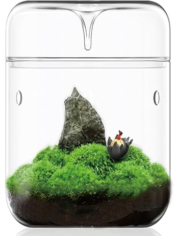 SARUFO Petit Terrarium en Verre pour Plantes Grasses - 12 x 17 cm - Vase Micro-Paysage pour Maison, Jardin, Bureau, décoration de Table avec Couvercle - Wardian - Brevet
