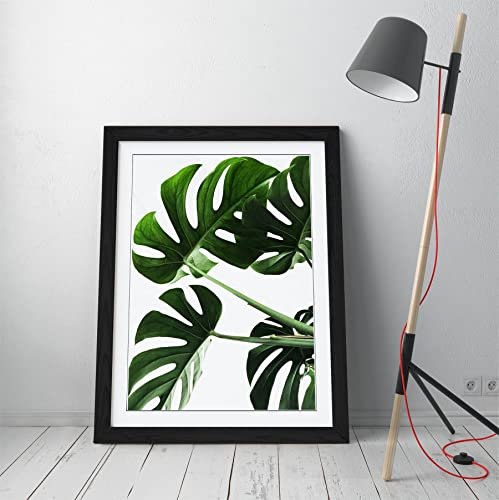 Monstera Leaf 5 Green Framed Wall Art Picture Print - A3 - Black Frame