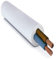 CAVO ELETTRICO FG16OR16 2x16 mm² IN DOPPIA GUAINA PER USO ESTERNO E INTERNO BIPOLARE 2 POLI CPR 0,6/1 kV IEMMEQU PROFESSIONALE MADE IN ITALY (10 METRI)