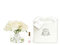 Côte Noire Scented Five Blush Rosen in einer klaren Glasvase-Weiß erröten