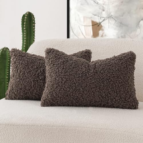 Foindtower Set mit 2 gelockten Teddy-Woll-Kissenbezügen, dekorativ, Bouclé, strukturiert, Lendenwirbelkissen, Kunstfell-Kissenbezüge, Schaffell, Kissen für Sofa, Schlafzimmer, Auto, 30,5 x 50,8 cm,
