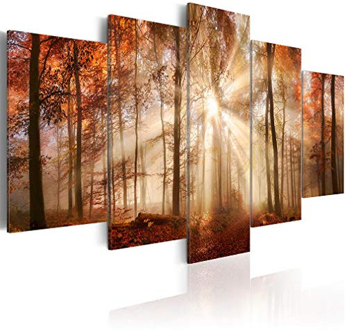 decomonkey Bilder Natur 100x50 cm 5 Teilig Wandbild Groß Leinwandbild XXL Deko Wohnzimmer Schlafzimmer Büro Wanddeko Leinwand Pictures For Wall Poster Wall Painting Abstrakte