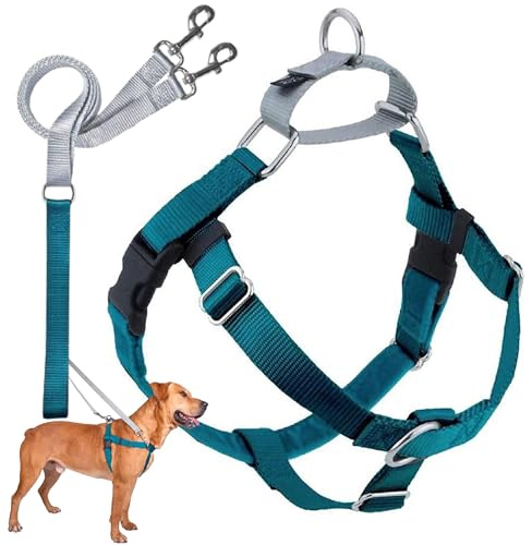 2 Hounds Design Freedom No-Pull Dog Harness with Leash, X-Small, 5/8-Inch Wide, Teal