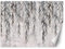 Feeby Fototapete XXL Hängendes Laub Pflanzen Natur 100x70 cm Grau Vliestapete Moderne Design Wandtapete Küche Flur Wohnzimmer Büro Badezimmer Kinderzimmer Botanik Nebliger Hintergrund