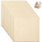 SENENQU 12 Stück Lindenholz 2 mm, 300 x 300 x 2 mm Sperrholzplatte Holz, Sperrholz Holzplatten zum Basteln für Laserprojekte, DIY Modell, Kunst und Handwerk, Gemälde