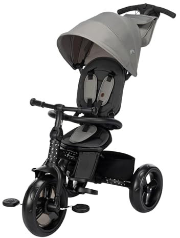 Bebeconfort Windy, Dreirad mit Schubstange, 10 Mon. bis 4 Jahre, 0–25 kg, auf das Kind einstellbar, bequemer Wendesitz, schützendes Verdeck, kompakt zusammenklappbar, Fahrrad Kinder, Tinted Stone