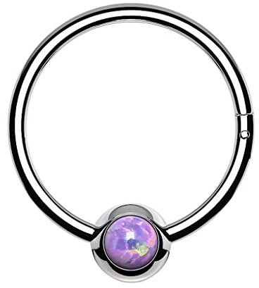 Piercingfaktor Septum Piercing Clicker Nasen Ring Segment Ohr Ring Scharnier Opal Kugel