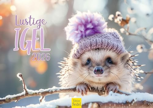 Edition Seidel Premium Kalender Lustige Igel 2026 Format DIN A3 Wandkalender Tierkalender mit coolen Bildern Tiere Wildtiere Steffen Gierok-Latniak