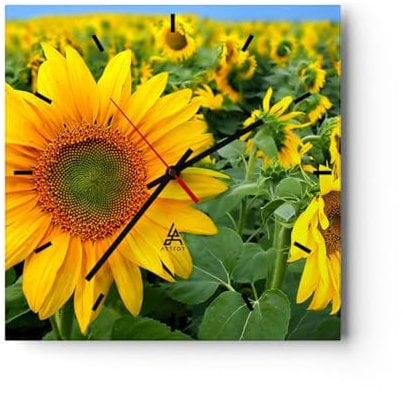 Modern Wanduhr Wolken Sonnenblumen Plantagen 40x40cm Quadrat Groß Wand Uhr Glas Analog Zimmeruhren Küche Büro Wohnzimmer Glasuhr Wall Clock Dekoration Design Wanddekoration Küchenuhr C3AC40x40-1157