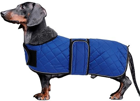 MOREZI Dackel Hund Winterjacke. wasserdichte Hundejacke. Mit Wolle, inneren und verstellbaren Schultergurten. Hundekleidung im Freien-Navy-S