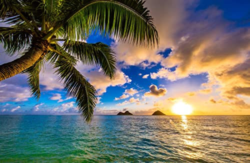 Papier Peint Photo INTISSÉ-PALMIERS-350x260 cm-(5569AE)-Plage Dunes Mer Océan Caraïbes Arbres Crépuscule Colle Inclus Mural Décor Motif Poster Géant Stickers Muraux Optique Moderne Fond Effet XXL