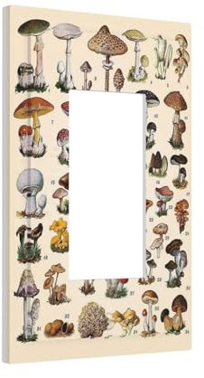 Vintage Cream Fungus Mushroom Decorative Decorator Wall Plate Educational Botanic Nature Poster Theme 1-Gang Electrical Rocker/GFCI Device Outlet Light Receptacle Switchplate Cover Dimmer Jumbo Size