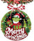 5D Weihnachten Diamant Painting Anhänger mit Kette, Ø21 DIY Diamond Art Painting Weihnachtskranz Anhänger, 5D Weihnachtsanhänger Ornamente für Anfänger, Tür Fenster Wand Deko DIY Geschenk (B)