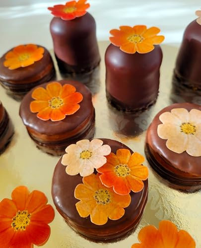 Anglesit Pre-Cut Beautiful Gradient Orange Mixed Size Flowers Edible Rice Wafer Paper Cupcake Toppers Cake Decorations Birthday Wedding Party Celebration (Orange)