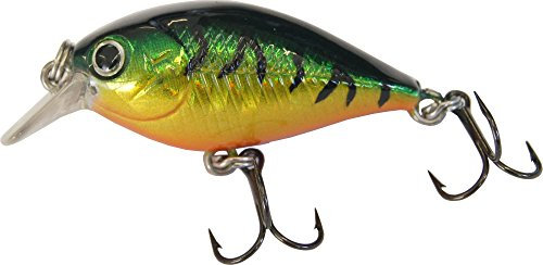 Paladin Trickfisch Wobbler Mini King 4cm 3g - Barschwobbler, Kunstköder zum Forellenangeln, Spinnköder, Forellenwobbler, Crankbait, Farbe:Firetiger