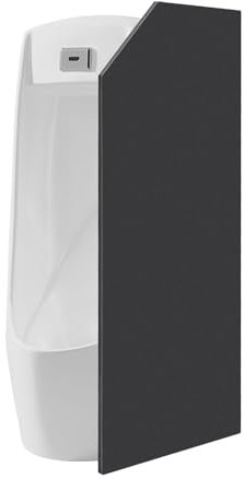 Estabeter Cloison d'urinoir pour homme - Étanche - Montage mural - Pour homme - Brise-vue - 40 x 90 cm - Noir