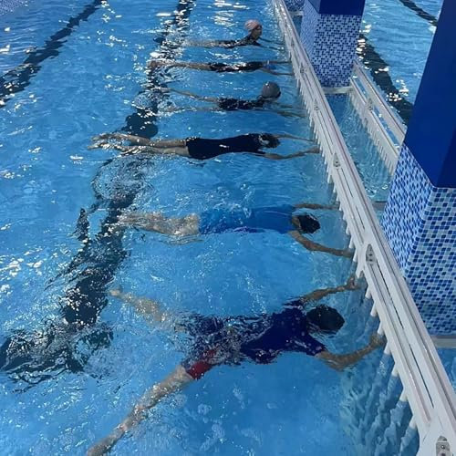 Clôture Sous Marine Pour Piscine Panneaux de clôture pour piscine commerciale/domestique, cloisons de piscine immergées amovibles avec fixation, installation facile à faire soi-même, piscines de(L 1m/
