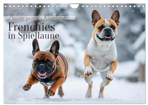 Frenchies in Spiellaune (Wandkalender 2026 DIN A4 quer), CALVENDO Monatskalender: Beliebte quirlige Kleinhunde (CALVENDO Tiere)