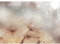 Runa Art Fototapete Blumen Pusteblume 352 x 250 cm Vlies Tapeten XXL Moderne Wandtapete Wohnzimmer Schlafzimmer Braun 9426011a