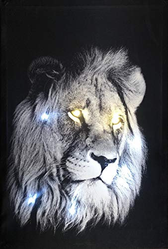 Samarkand - Lights LED-Bild mit Beleuchtung LED- Bilder Leinwandbild 65 x 45 cm Wandbild LÖWE Tiere