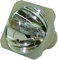 CABULB-EU 5J.J1S01.001 Compatible Bare Bulb Projector Lamp Without Housing for BenQ MP610 MP610-B5A MP620P W100