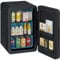smilesun Mini Fridge 22Liter/30 Cans Cooler and Warmer Portable Mini Fridge for Bedroom with Adjustable Shelves, AC+DC Small Fridges for Cars, Drinks, Skincare, Cosmetics, Make Up (Black)