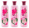 Biofresh Rose of Bulgaria Haarspülung Conditioner 3 x 330 ml